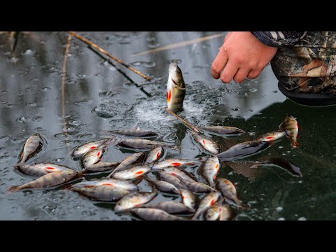 Видео: Нестандартна ТАКТИКА дала Результат:Кльов окуня на мормишку