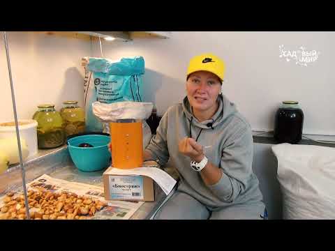 Видео: Как вывести крыс и мышей? Отпугиваем навсегда! Биостраж Чистон