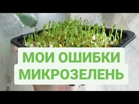 Видео: ВСЯ ПРАВДА О МИКРОЗЕЛЕНИ. НАС ОБМАНЫВАЮТ. МОИ ОШИБКИ