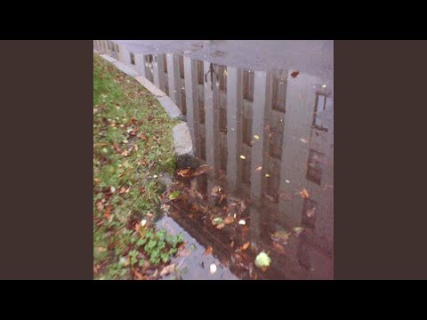 Видео: киты умирают в лужах бензина