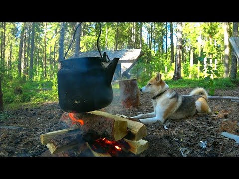 Видео: Рыбалка на лесном озере с ночёвкой.Ловлю щуку на самоловки и кружки.