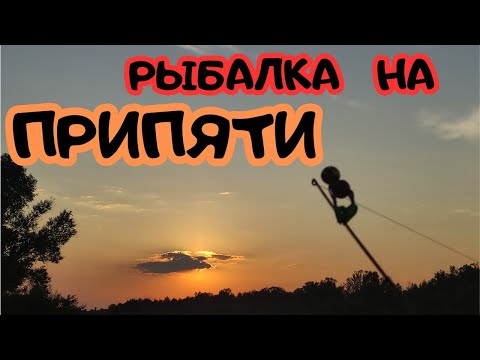 Видео: Рыбалка с Ночёвкой на реке Припять. Мой первый выезд на ночь в сезоне!