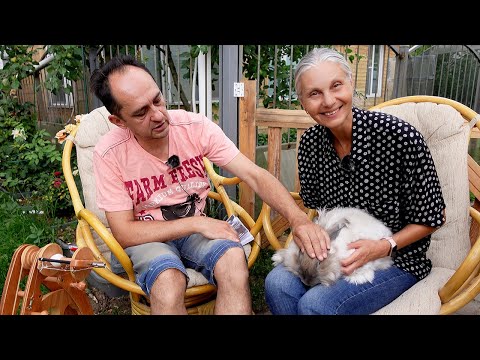 Видео: Пряжа из АНГОРЫ, которая не лезет | заводчик ангорских кроликов выдал все секреты ПУШИСТОГО ЗОЛОТА