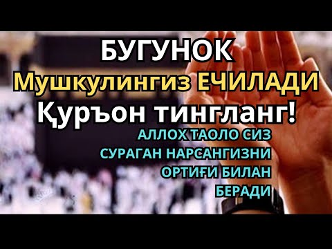 Видео: 🔴пул чексиз оқади !! Барча хаёт ташвишларини бир зумга унутиб Қуръон тингланг !
