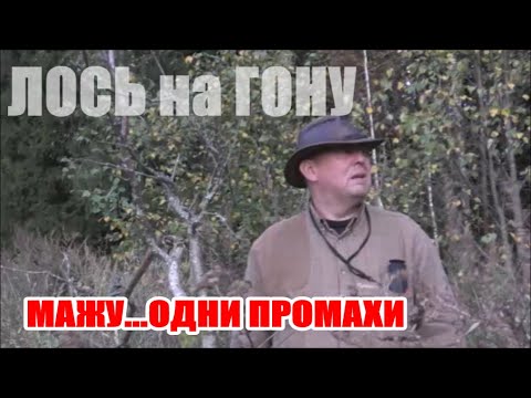 Видео: ЛОСЬ НА ГОНУ.  ПОЗОР... ДВАЖДЫ ПРОМАЗАЛ !