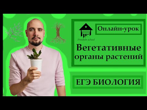 Видео: ВЕГЕТАТИВНЫЕ ОРГАНЫ РАСТЕНИЙ для ЕГЭ 2023 |ЕГЭ БИОЛОГИЯ|Freedom|