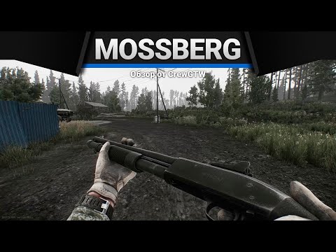 Видео: Mossberg 590A1 | Escape from Tarkov | Зато не с топором!