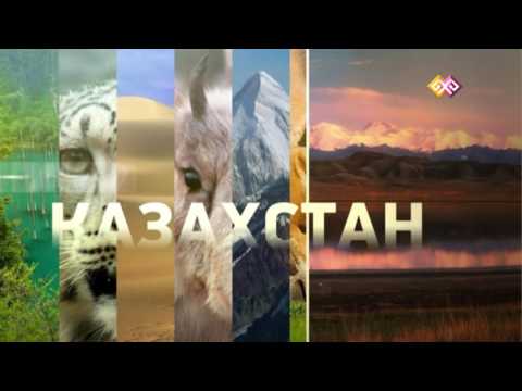 Видео: "Заповедники Казахстана" - Коргалжынский заповедник (0035) 30.08.16