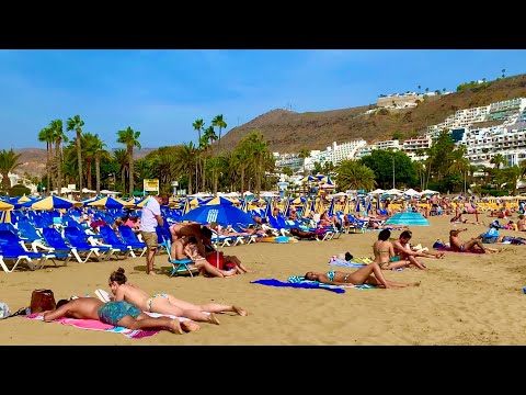 Видео: Гран Канария Пуэрто Рико сегодня 12.02.20 с Калимой