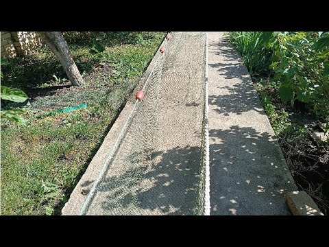 Видео: Бредень для ловли раков.