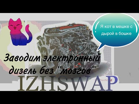 Видео: Заводим электронный дизель на полу без "мозгов".
