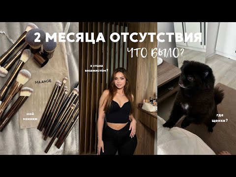 Видео: Общаемся пока крашусь - я стала визажистом ? | мой макияж | как щенки
