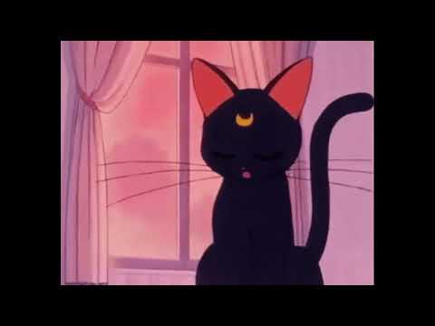 Видео: шайни  - YEYO (speed up + reverb)