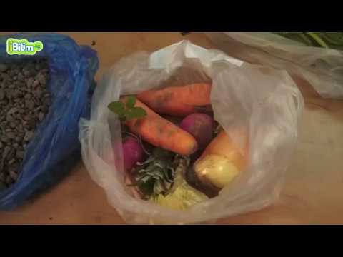 Видео: Өсүмдүктөрдүн көбөйүшү