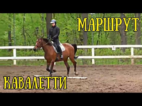 Видео: Маршрут Кавалетти на рыси. Готовимся к стартам