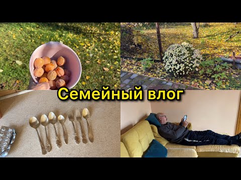 Видео: ОДИН ОСЕННИЙ ЧУДЕСНЫЙ ДЕНЬ. ПРИСТУП ЧИСТОТЫ. СЕМЕЙНАЯ ИДИЛЛИЯ.