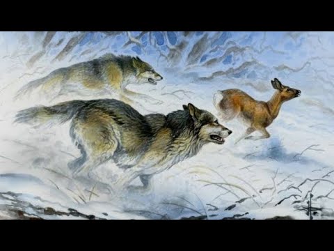 Видео: Бауыржан Мұхаметбайұлы - Сыбызғы күйлері  (Baurzhan Muhamet -Sibizgi kuyler)