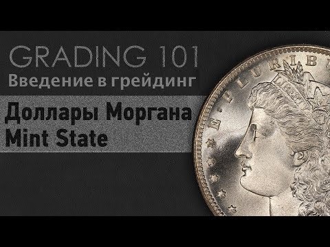 Видео: Оценка Долларов Моргана без обращения: Введение в грейдинг