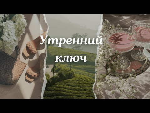 Видео: Утренняя медитация. Трансформация вашей реальности. Стань магнитом для изобилия и возможностей.