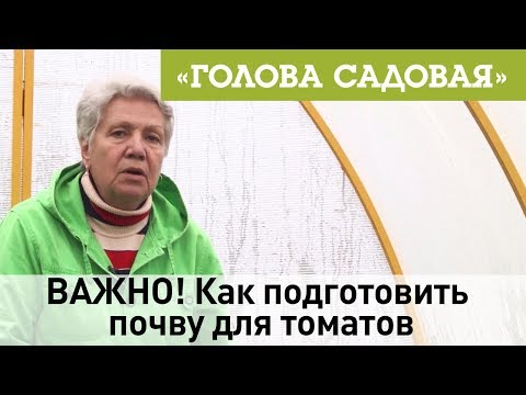 Видео: Голова садовая - ВАЖНО! Как подготовить почву для томатов