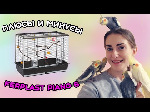 Видео: Неужели я заказала такую же клетку? Ferplast piano 6 - в чем преимущества и какие недостатки?