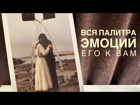 Видео: Вся палитра эмоций его к вам.