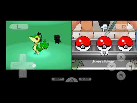 Видео: назлок челендж в Pokemon blaze black 2 redux . Первые победы! и первые смерти.......