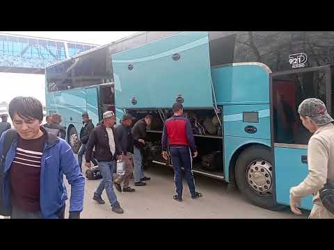 Видео: Автобус 🚍Ташкент-Уфа 🇺🇿+998 93 376 05 55 🇷🇺 +79673650505