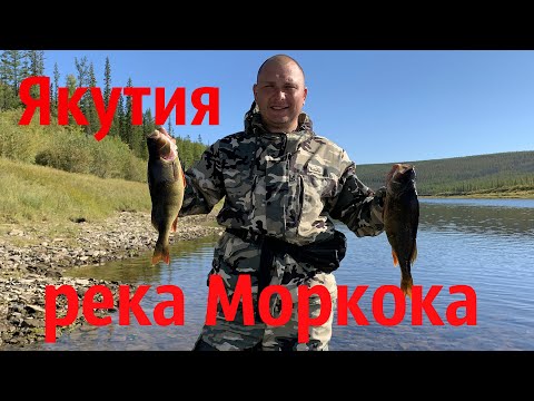 Видео: Рыбалка в ЯКУТИИ река МОРКОКА Водометное путешествие ALLASKA-470 TONNA LUX + Mercury 50 Jet