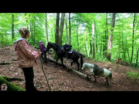 Видео: Гора Ахун - Мацеста, пешком. Разбираемся с указателями. 05.23 #ахун #гораахун #орлиныескалы #hiking