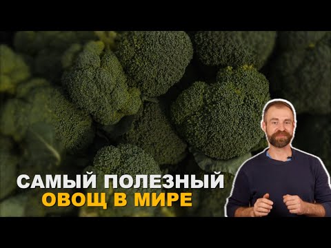 Видео: Капуста брокколи от А до Я.