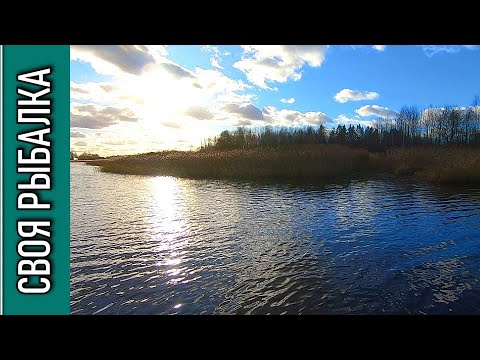 Видео: Ловля щуки на воблер осенью на реке Хотча