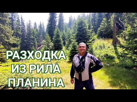 Видео: РАЗХОДКА В РАЙОНА НА ЯЗ. БЕЛМЕКЕН! БОРОВЕ, РЕКИЧКА И МНОЖЕСТВО КРАСИВИ ГЛЕДКИ И СВЕЖ ВЪЗДУХ!!!