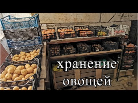Видео: Хранение овощей на зиму в погребе или подвале. Общие правила хранения, температура и влажность
