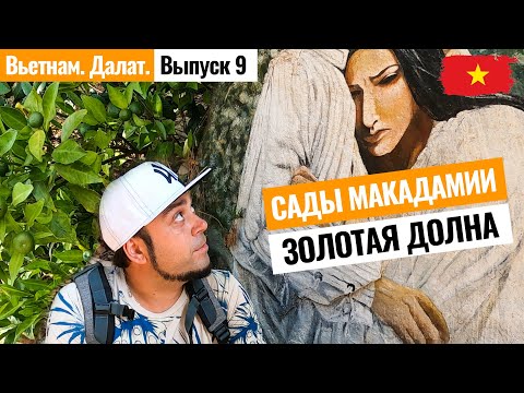 Видео: ВЬЕТНАМ. Плантации Вьетнамской макадамии и водопад Ромэо и Джульетты в Далате. Лайкни Мир