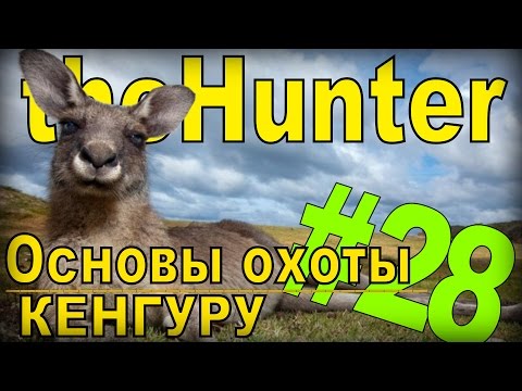 Видео: the Hunter - Кенгуру [Основы охоты] #28