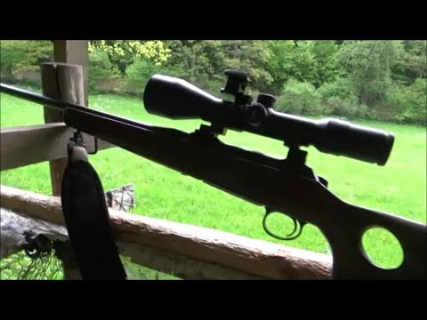 Видео: Как охотятся в Германии... МОИРа на Вас нет...