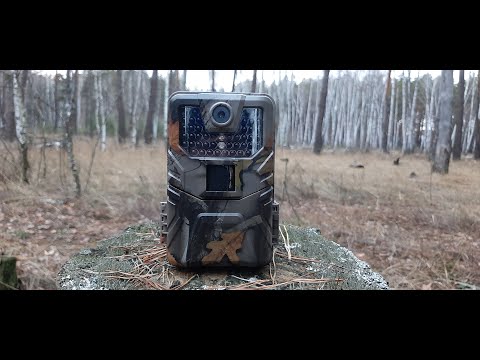 Видео: Обзор фотоловушки SUNTEK HC 900 A, установка, настройки, примеры записи качества фото и видео.