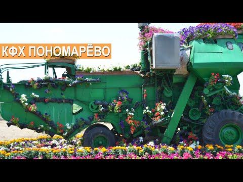 Видео: Зерновые, масличные, бахчевые культуры. КФХ Пономарёво. Рассказ о хозяйстве