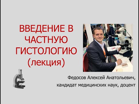 Видео: ВВЕДЕНИЕ В ЧАСТНУЮ ГИСТОЛОГИЮ (ЛЕКЦИЯ)