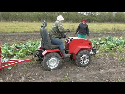 Видео: Минитрактор - переломка.Уборка капусты. Minitractor-fracture.Cabbage harvesting