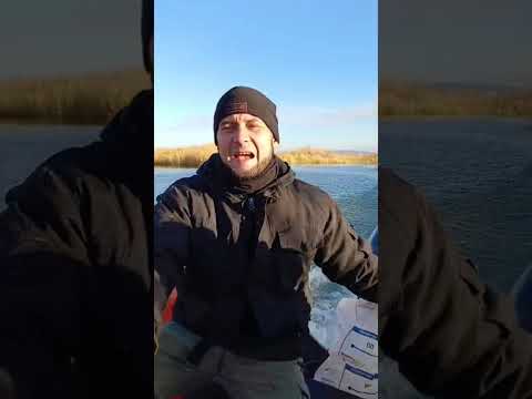 Видео: отдых или