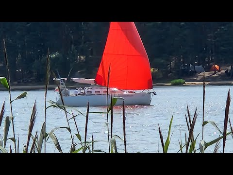 Видео: Едем в Парк-Отель Басовское 2025г