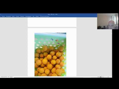 Видео: Сад Железова место для телеигры "Поле Чудес"