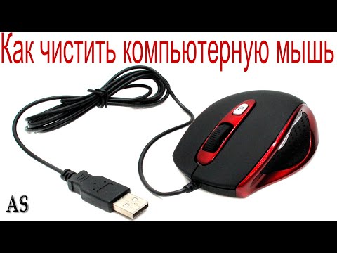 Видео: Как правильно чистить компьютерную мышь