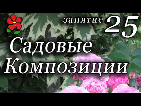 Видео: Составляем композиции из растений в саду. Часть 3. Курсы - ландшафтный дизайн, урок 25.