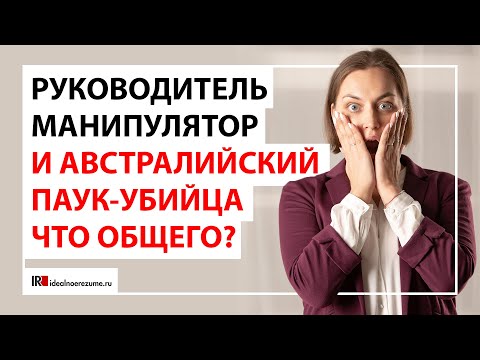 Видео: Манипуляции на работе  | Как общаться с руководством , если руководитель - манипулятор?