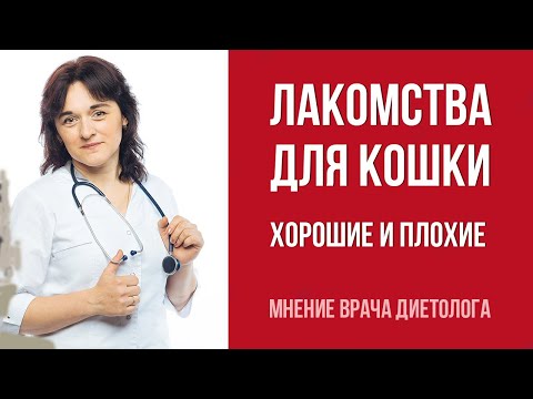 Видео: Обзор вкусняшек для кошки от ветеринара диетолога