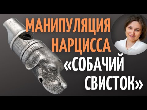 Видео: Манипуляция нарцисса «Собачий свисток». Реальная история.