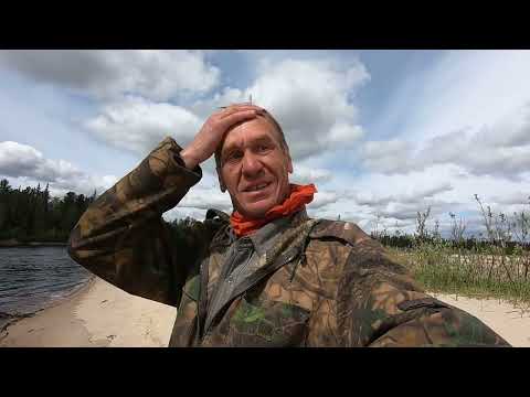 Видео: 10 Июня. Прекрасные выходные в тайге. Река, избушка, гитара и рыбы. День первый.